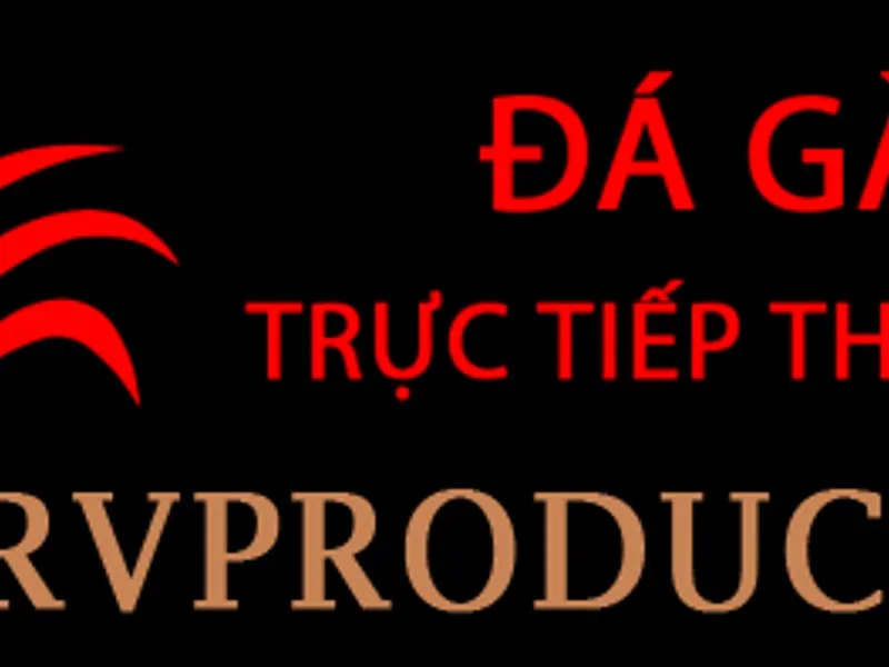 Biểu đồ giải thích các loại tỷ lệ cược khác nhau: thập phân, phân số và kiểu Mỹ, minh họa cách chuyển đổi.